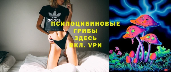 героин Алексин