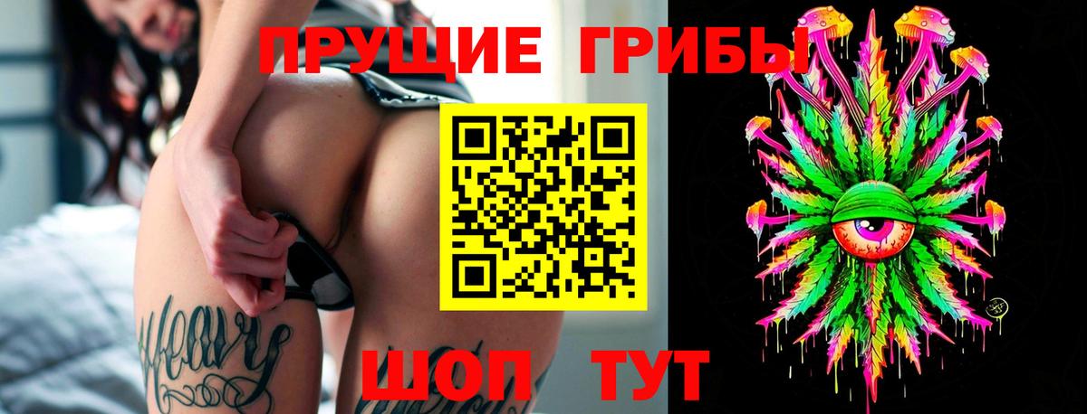 Псилоцибиновые грибы Cubensis  Вход с VPN  цена наркотик  Самара 